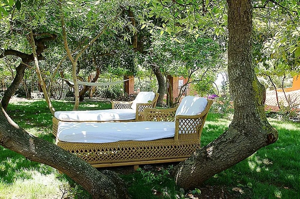 Nice House In Large Avocado Garden, Tenerife North Pension Tacoronte Spanje