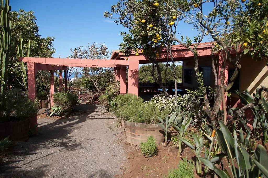 Nice House In Large Avocado Garden, Tenerife North Pension Tacoronte