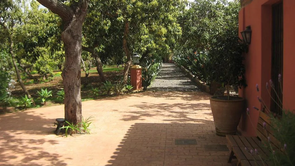 Nice House In Large Avocado Garden, Tenerife North Pension Tacoronte