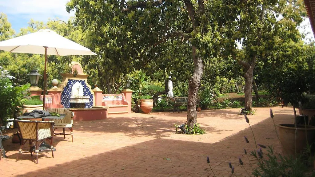 Landhuis Nice House In Large Avocado Garden, Tenerife North Pension Tacoronte